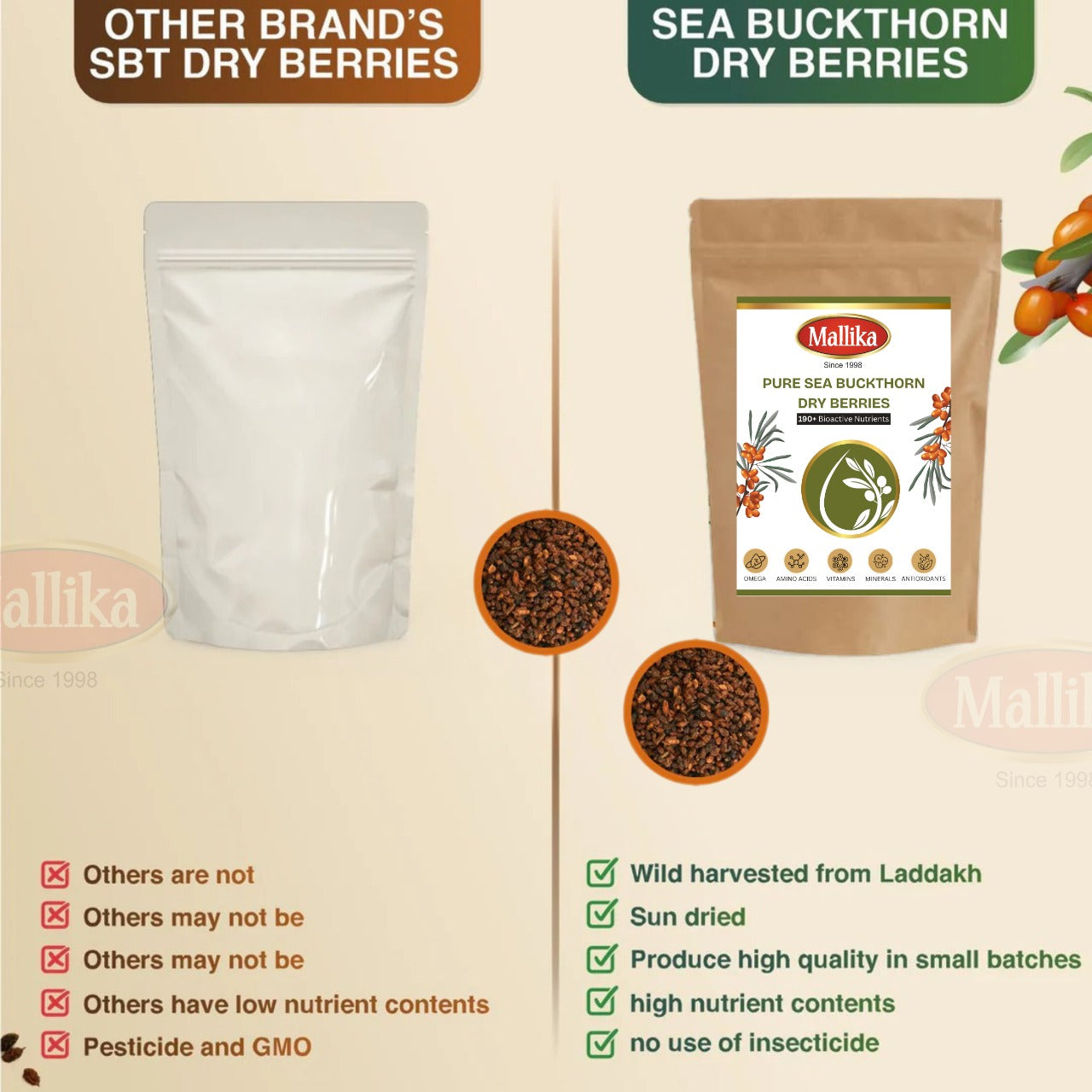 Sea Buckthorn Dry Berries 100g
