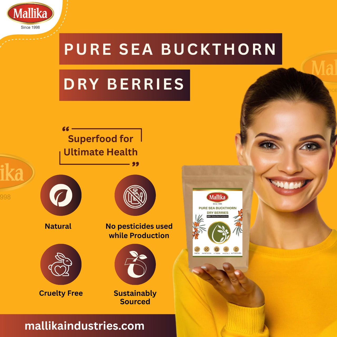 Sea Buckthorn Dry Berries 100g